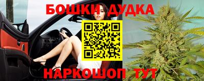 сатива Бузулук