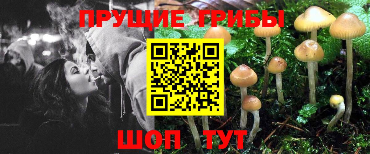 Тихвин  Псилоцибиновые грибы MAGIC MUSHROOMS  Вход с VPN 