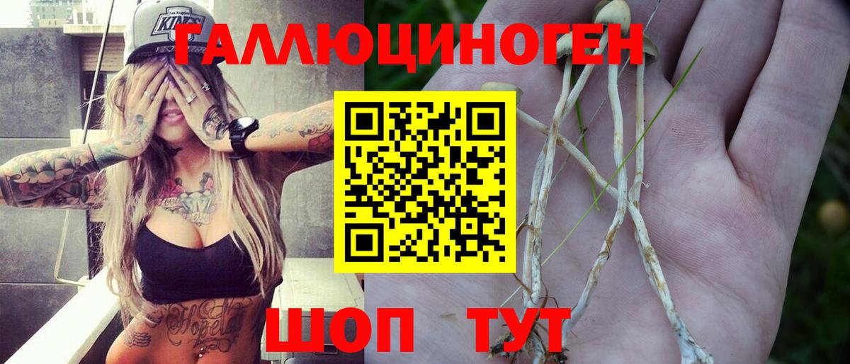 Псилоцибиновые грибы мицелий Тихвин